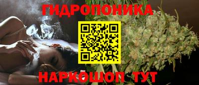метамфетамин Гатчина