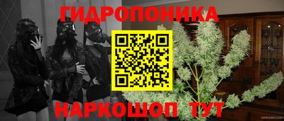 метамфетамин Гатчина