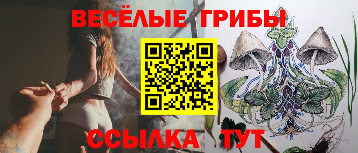 Галлюциногенные грибы MAGIC MUSHROOMS Каменка
