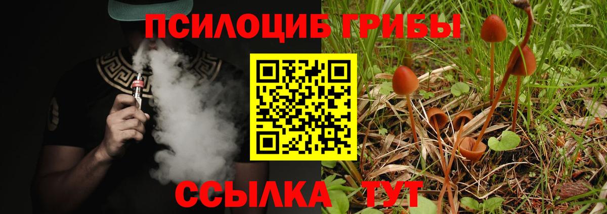 Псилоцибиновые грибы прущие грибы  Галлюциногенные грибы Psilocybe  Каменка  Вход с VPN 